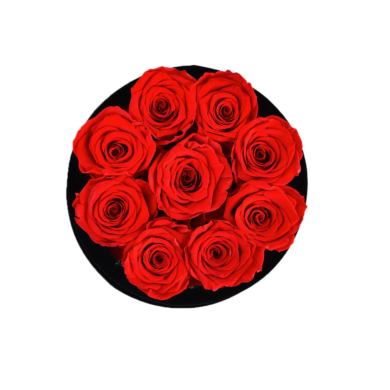 Forever Roses