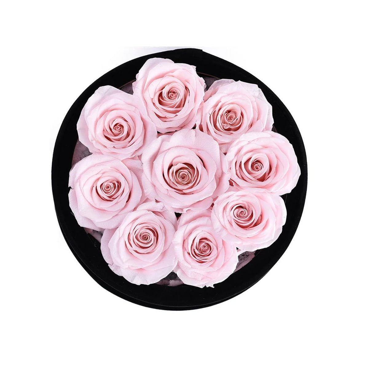Forever Roses