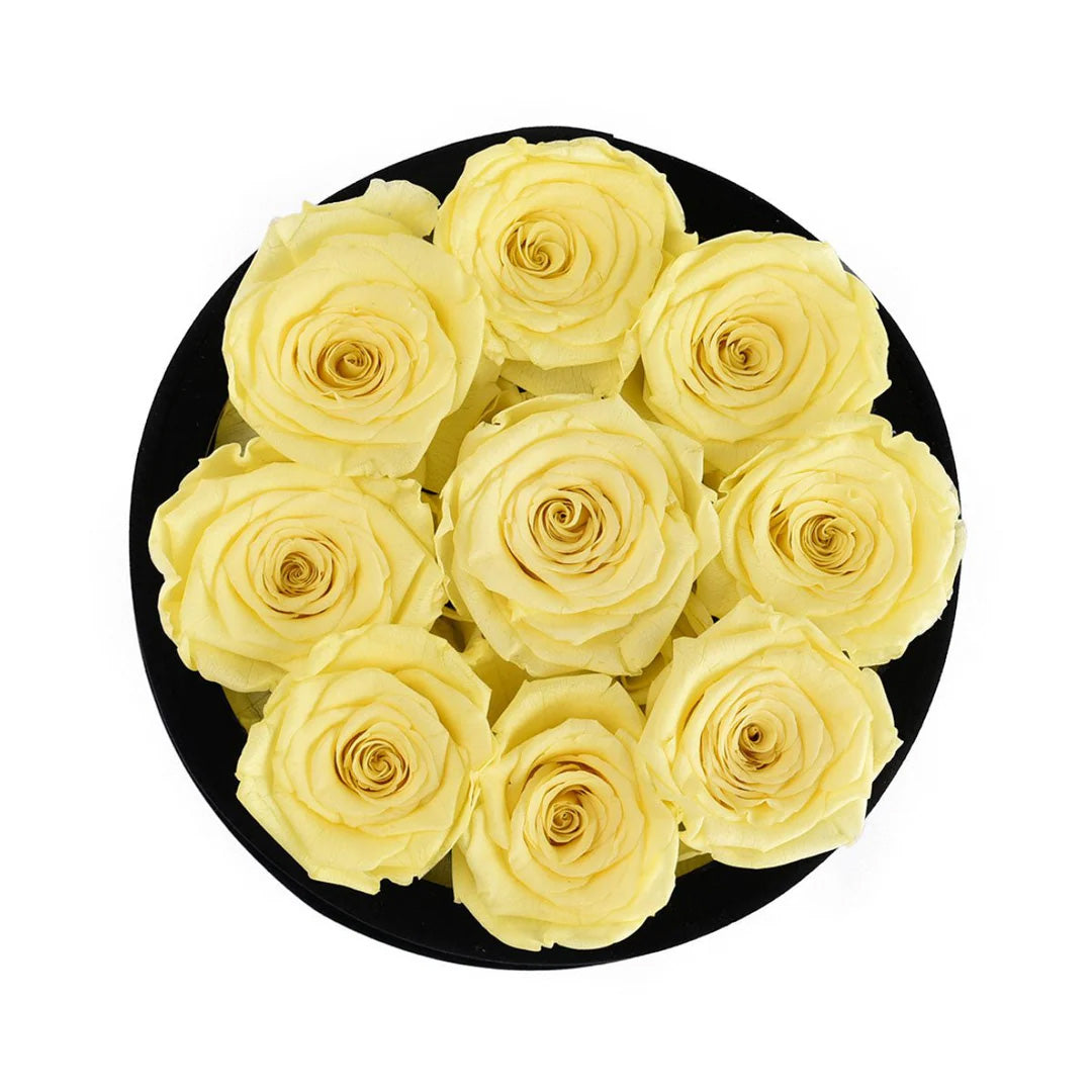 Forever Roses