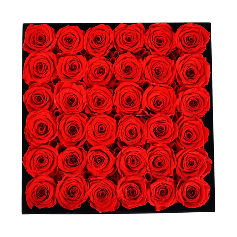 Forever Roses