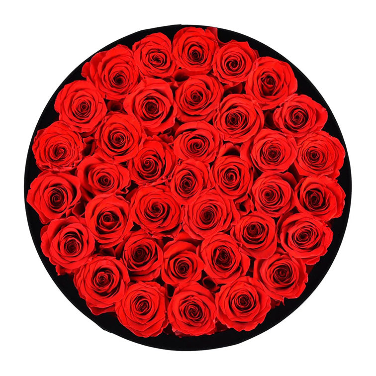 Forever Roses