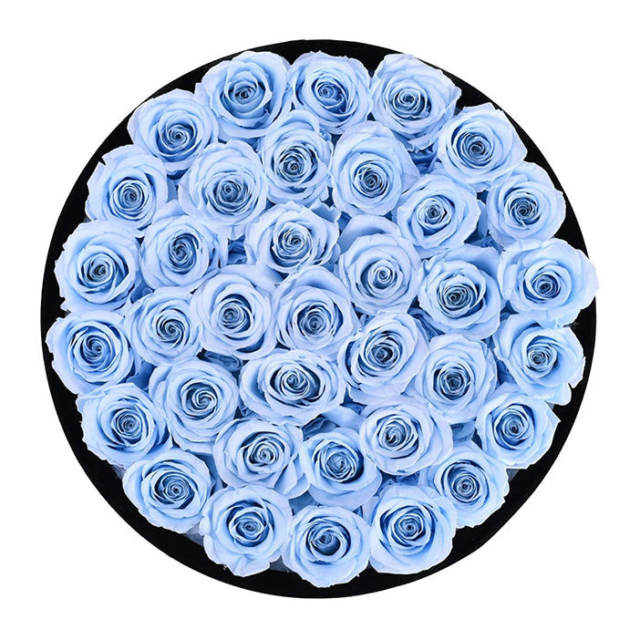 Forever Roses