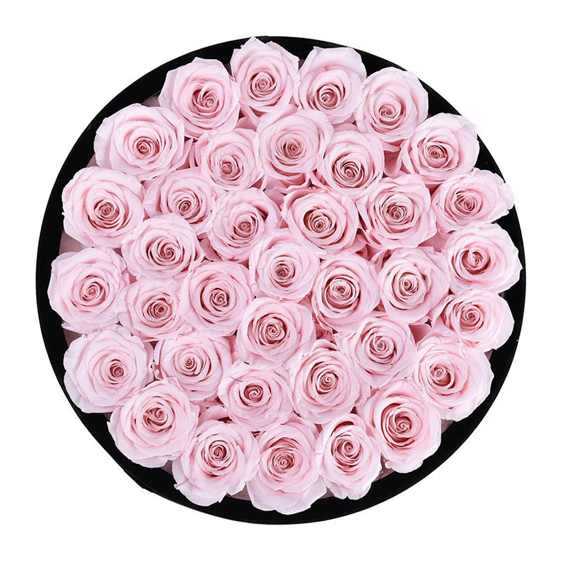 Forever Roses