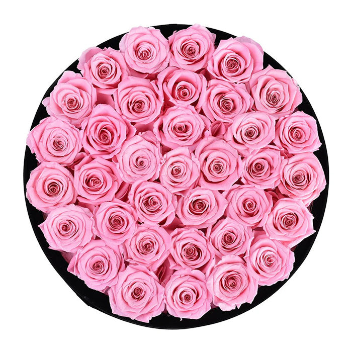 Forever Roses