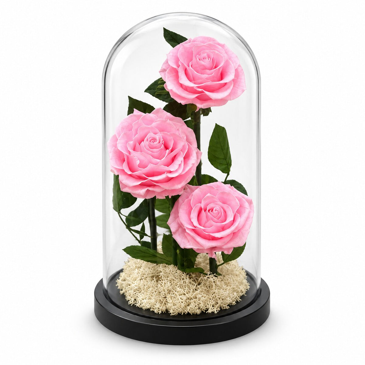 Three Forever Roses in Large Glass Dome