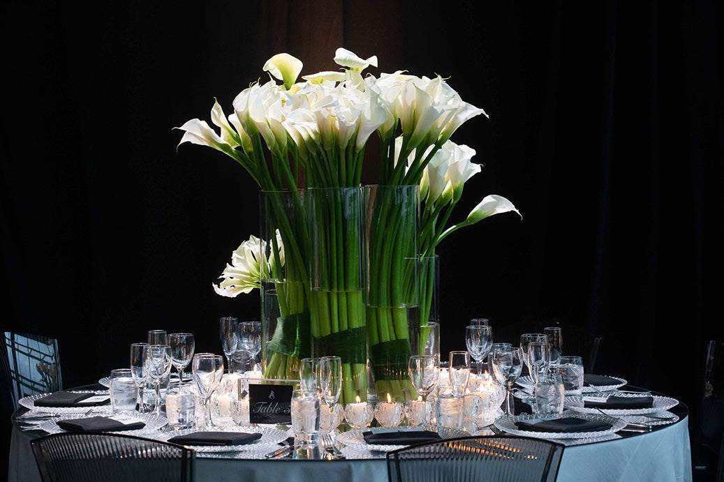 Virginia & Smith Wedding Reception