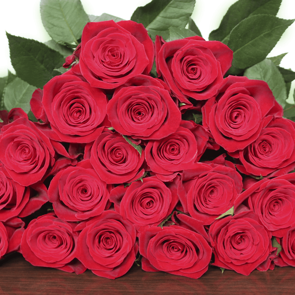 Rose collection