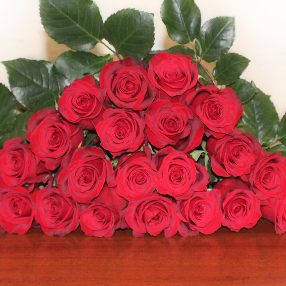 Rose Collection
