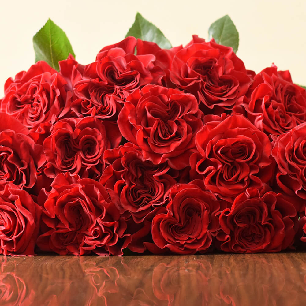 Rose Collection