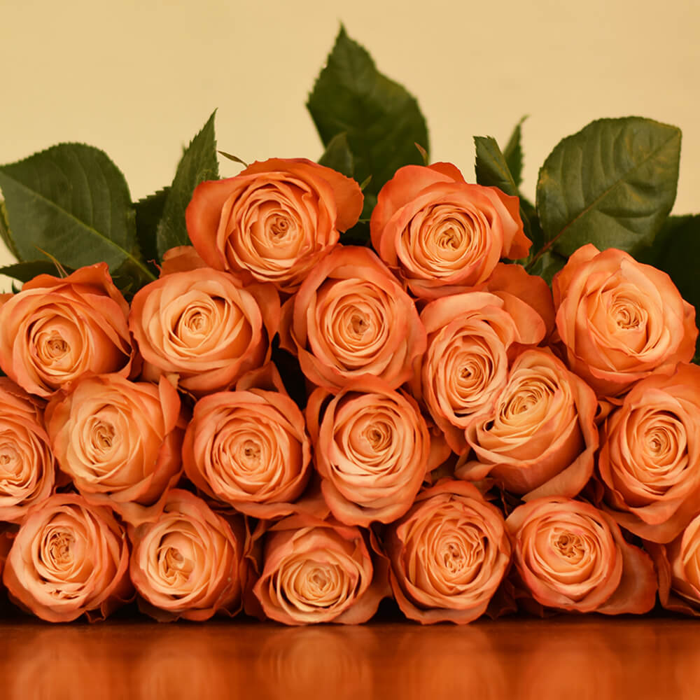Rose Collection