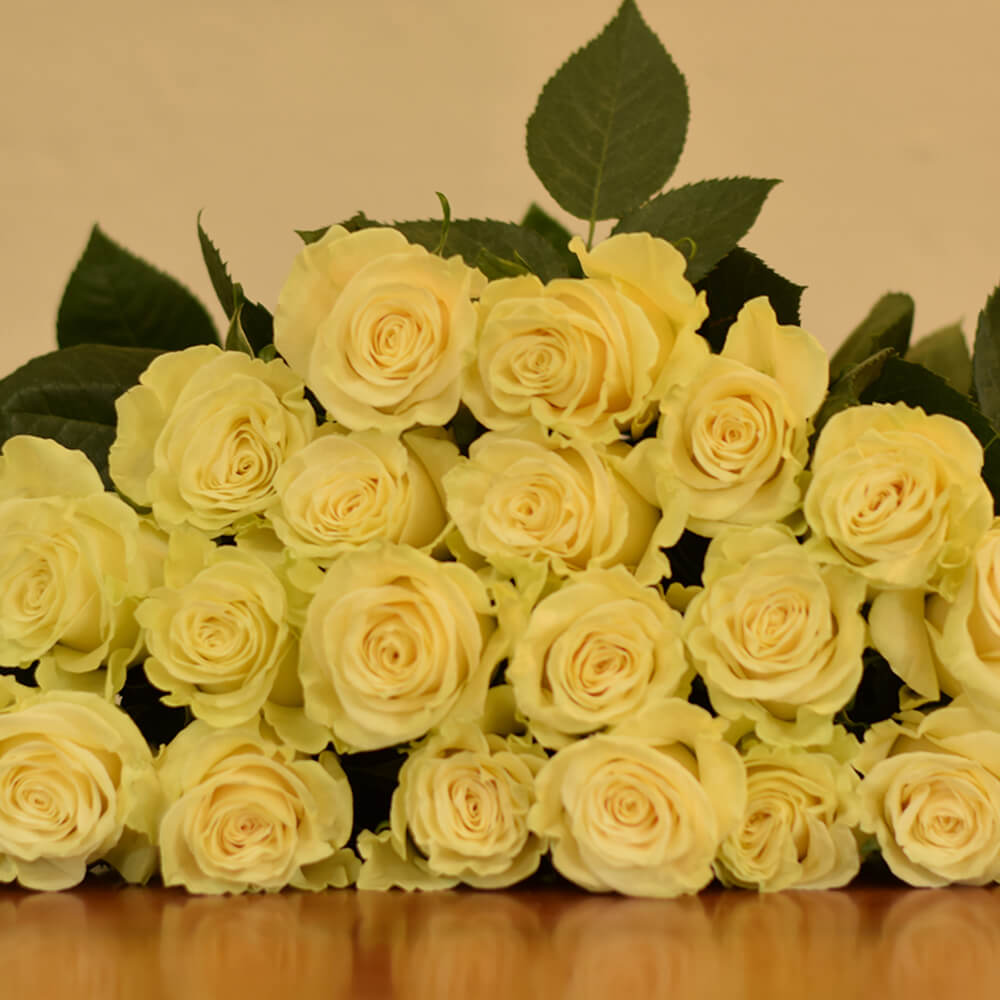 Rose Collection