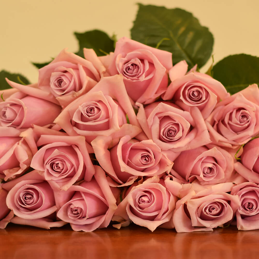 Rose Collection