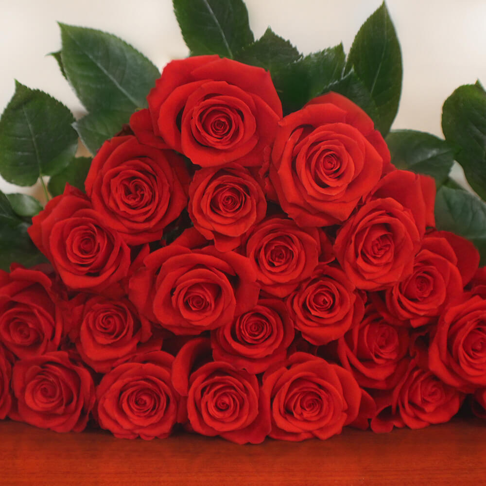 Rose Collection