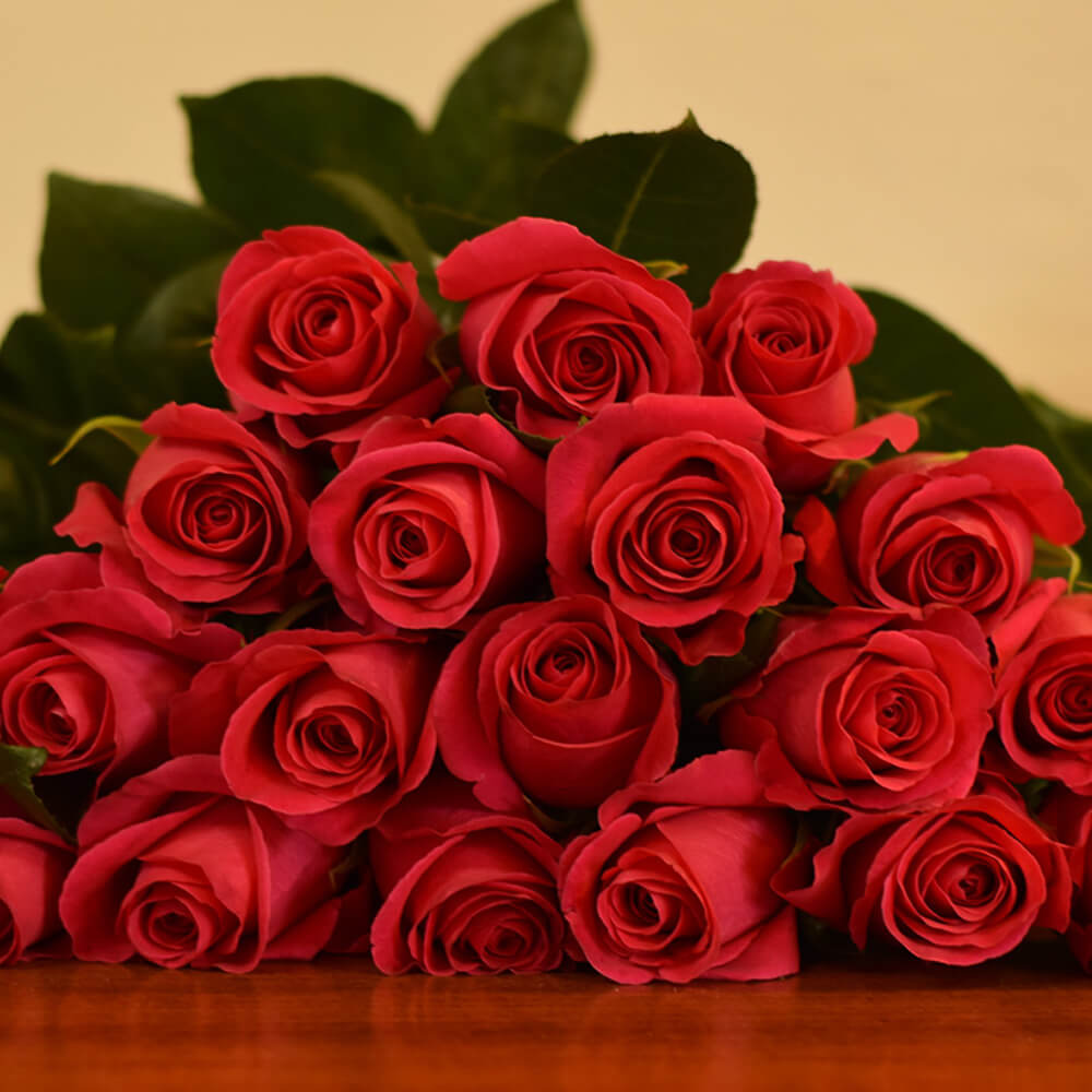 Rose Collection