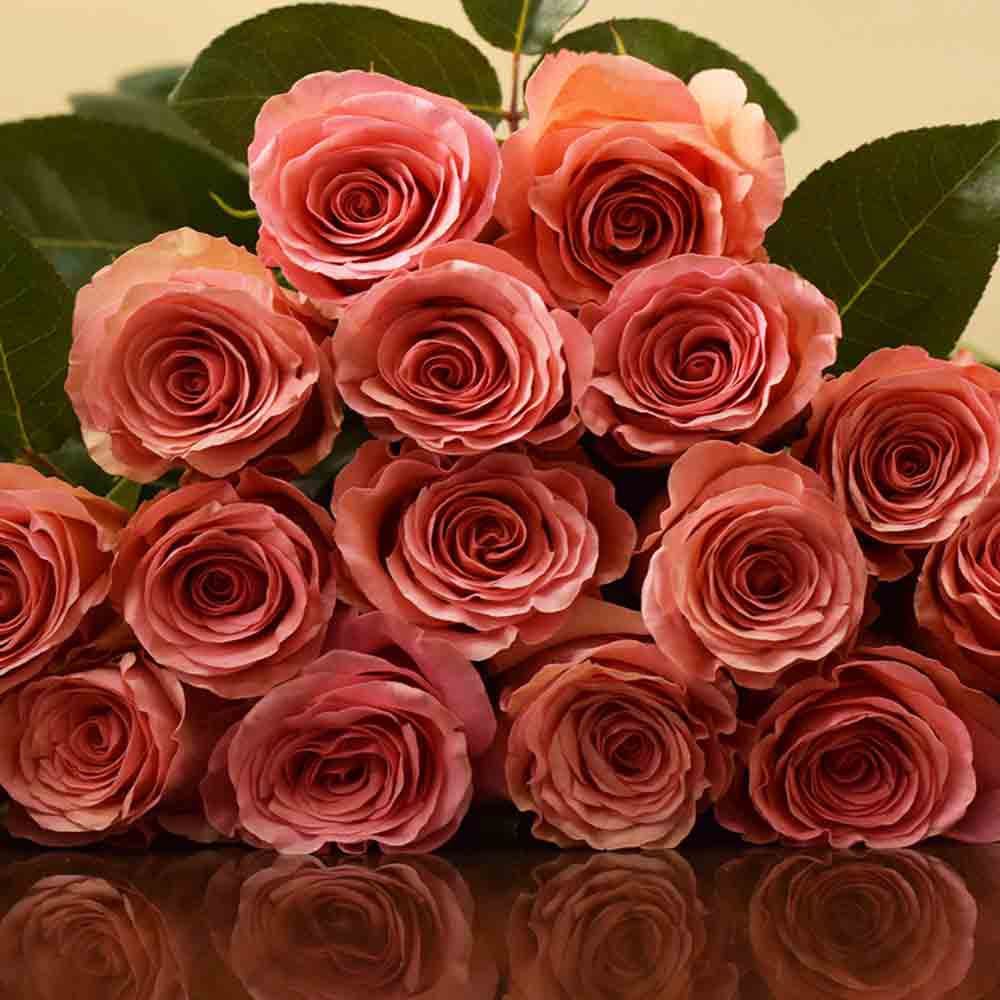 Rose Collection