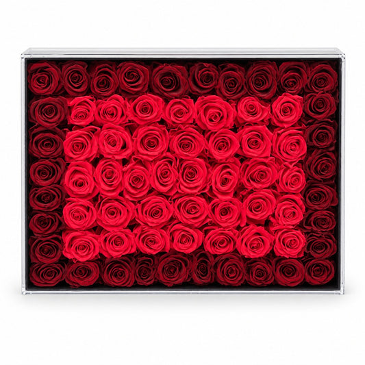 Red and Deep Red Forever Roses in Black Acrylic Box