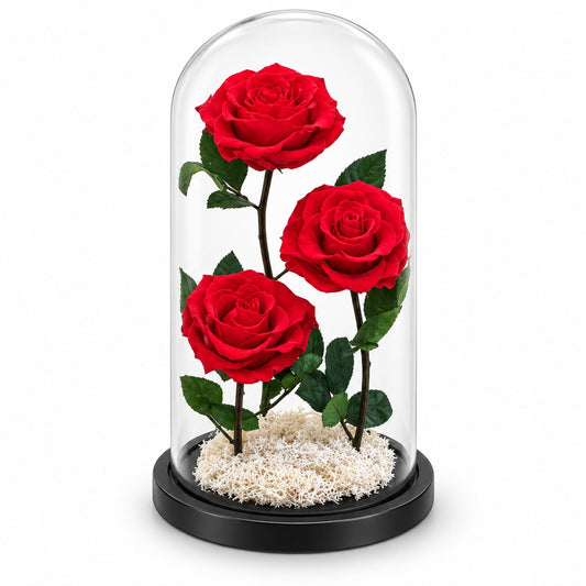 Three Forever Roses in Large Glass Dome