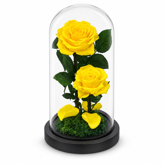 Two Forever Roses in Small Glass Dome
