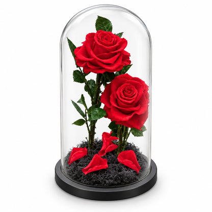 Two Forever Roses in Large Glass Dome