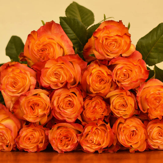 Rose Collection