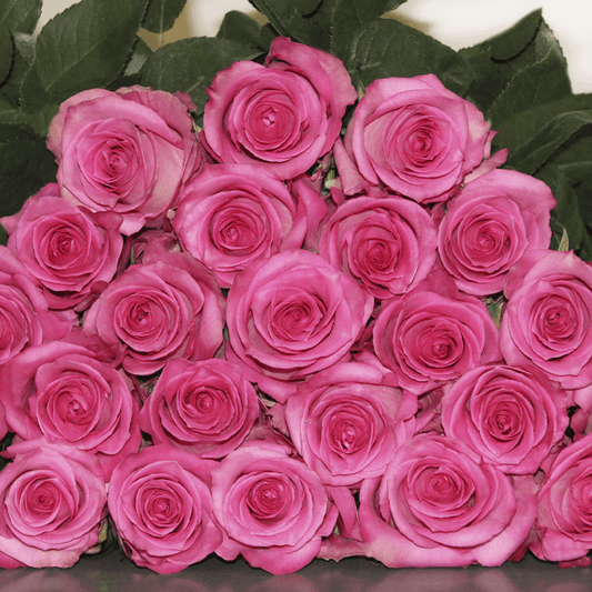 Rose Collection